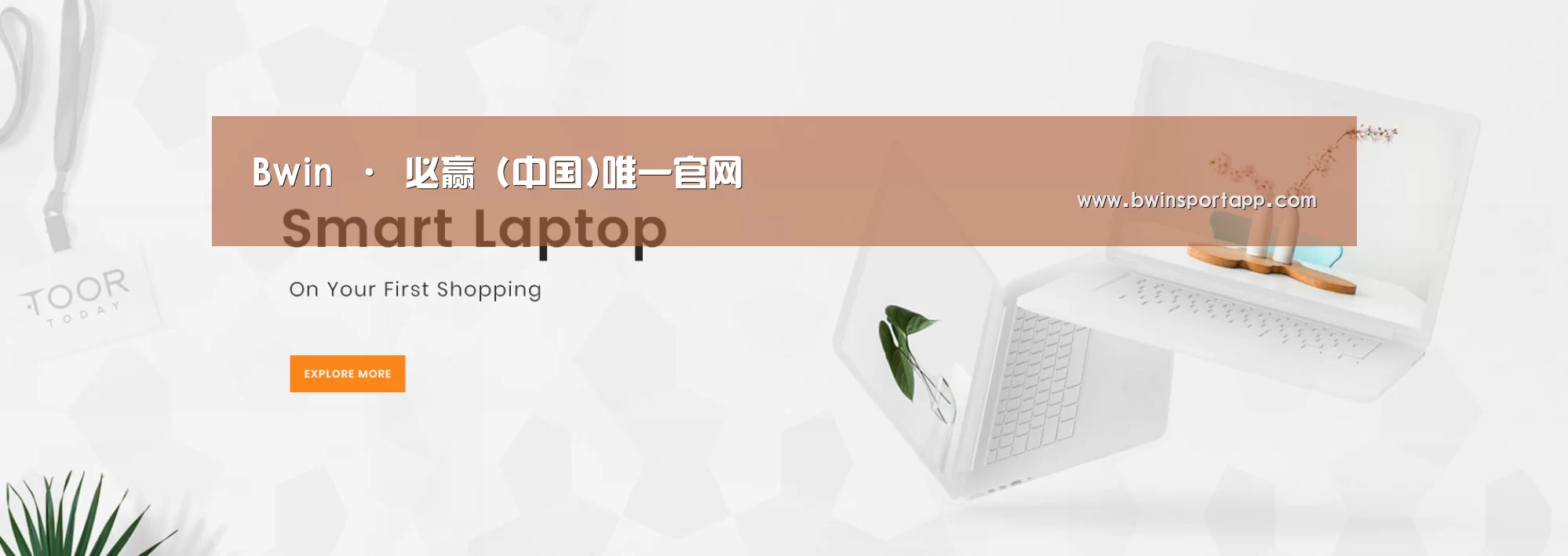 某某网络科技有限公司